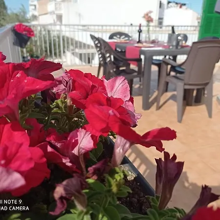 Fantastic, 100 Meters From The Apartment *