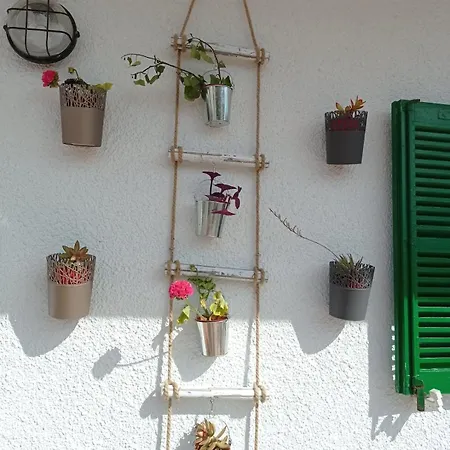 Fantastic, 100 Meters From The Apartment Can Picafort (Mallorca)