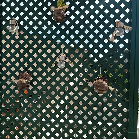 Fantastic, 100 Meters From The Can Picafort (Mallorca)